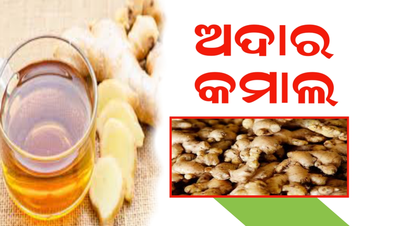You are currently viewing ଖଣ୍ଡେ ଅଦା ର କରାମତି। ଏହିସବୁ ରୋଗକୁ ଖୁବ୍ ଶୀଘ୍ର ଦୁର କରେ ।