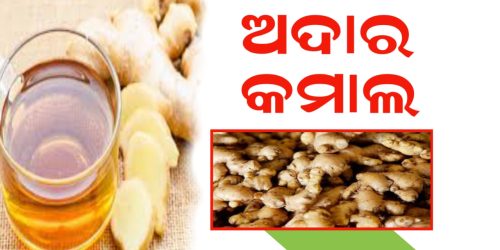 ଖଣ୍ଡେ ଅଦା ର କରାମତି। ଏହିସବୁ ରୋଗକୁ ଖୁବ୍ ଶୀଘ୍ର ଦୁର କରେ ||