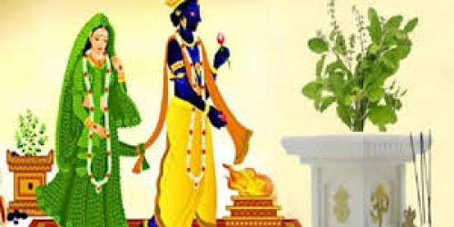 ତୁଳସୀ ଦେବୀ ଓ ଭଗବାନ ବିଷ୍ଣୁଙ୍କର ବିବାହ, ଜାଣନ୍ତୁ ଏହି ଦିନର ଧାର୍ମିକ ଓ ପୌରାଣିକ ମହତ୍ତ୍ୱ