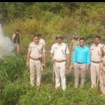 Read more about the article ୩୦ ଏକରରୁ ଉର୍ଦ୍ଧ୍ବ ଜମିରୁ ଗଞ୍ଜେଇ ଫସଲ ନଷ୍ଟ କଲା ପାଟପୁର ପୋଲିସ : ଏହାର ଅନୁମାନିକ ମୂଲ୍ୟ ପ୍ରାୟ ୩ କୋଟିରୁ ଉର୍ଦ୍ଧ୍ବ ହୋଇଥିବା ସୂଚନା ।