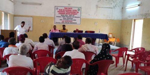 ବ୍ରହ୍ମପୁର ଉପଖଣ୍ଡ ପ୍ରାଣୀ ଚିକିତ୍ସା ଅଧିନରେ ଦୁଇ ଦିନିଆ ଘାସ ଚାଷ ପ୍ରଶିକ୍ଷଣ ଶିବିର ଅନୁଷ୍ଠିତ ।