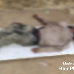 Read more about the article ଅଜଣା ବ୍ୟକ୍ତିଙ୍କ ମୃତଦେହ ଉଦ୍ଧାର