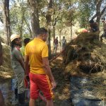 Read more about the article ଧାନଗଦାରେ ନିଆଁ : ଲକ୍ଷାଧିକ ଟଙ୍କାର ଧାନ ପୋଡ଼ି ନଷ୍ଟ