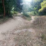 Read more about the article ମୌଳିକ ସୁବିଧା ରୁ ବଞ୍ଚିତ ବାସୁଦେବପୁର ଗାଁ , ସାହା ଭରଷା ପାଦଚଲା ରାସ୍ତା,ପିଇବା ପାଣି ର ଘୋର ସଙ୍କଟ