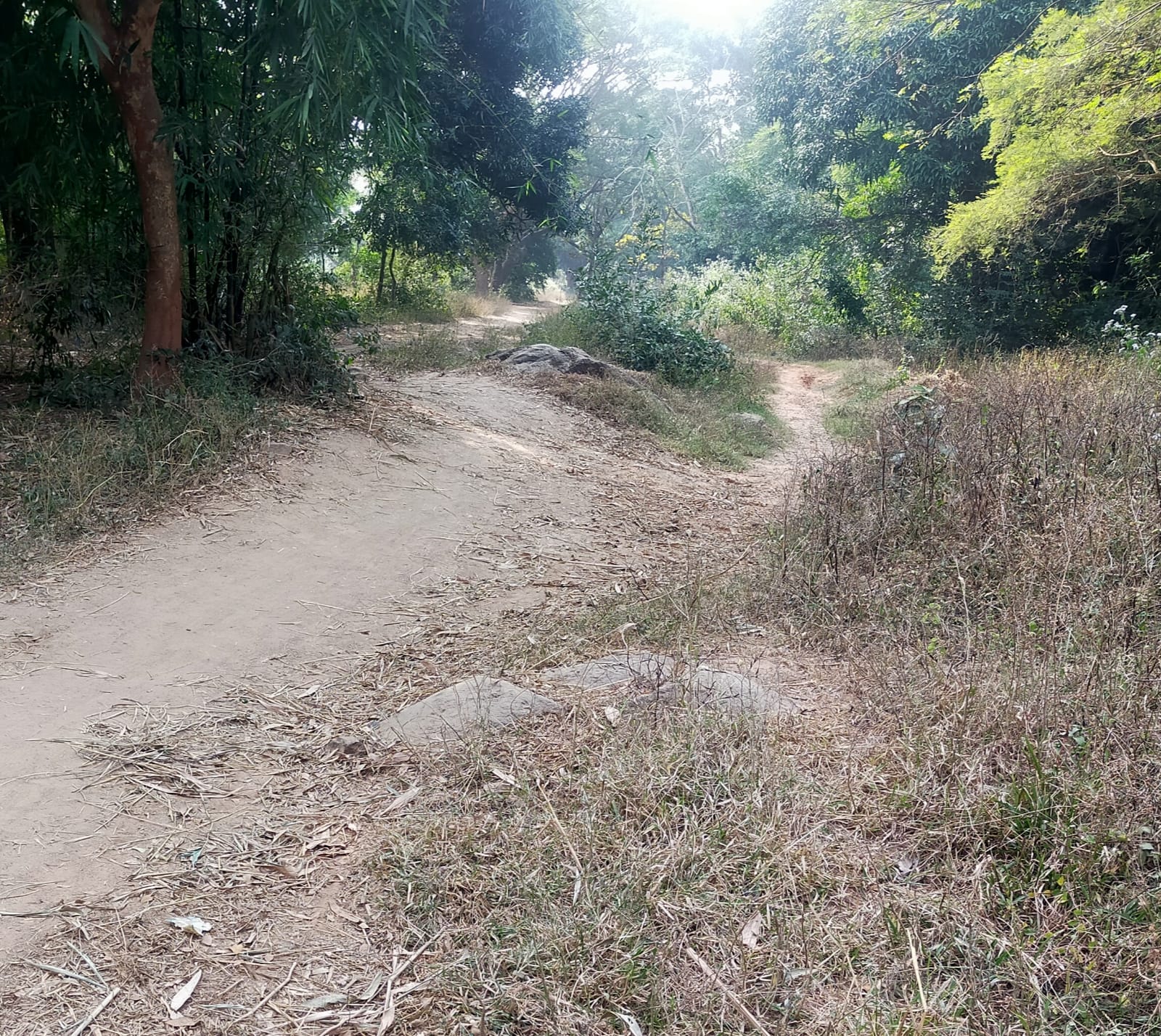 You are currently viewing ମୌଳିକ ସୁବିଧା ରୁ ବଞ୍ଚିତ ବାସୁଦେବପୁର ଗାଁ , ସାହା ଭରଷା ପାଦଚଲା ରାସ୍ତା,ପିଇବା ପାଣି ର ଘୋର ସଙ୍କଟ