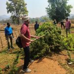 Read more about the article ପୋଲିସ ଓ ଅବକାରୀ ବିଭାଗର ମିଳିତ ଉଦ୍ୟମ ରେ ୫୦ ଏକର ଗଞ୍ଜେଇ ଚାଷ ନଷ୍ଟ