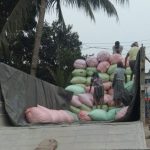 Read more about the article ଟୋକେନ୍ ଅବଧି ସରିଲା, ଧାନ ଉଠିଲାନି ।<br>ଧାନ ବିକ୍ରି କରି ପ୍ରାପ୍ଯ ପାଇ ପାରୁ ନାହାନ୍ତି ଚାଷୀ।