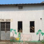 Read more about the article ଫେଲ୍ ମାରୁଛି ଆଦର୍ଶ ଗାଈ ଗୁହାଳ ଯୋଜନା