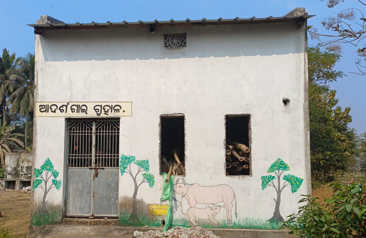 You are currently viewing ଫେଲ୍ ମାରୁଛି ଆଦର୍ଶ ଗାଈ ଗୁହାଳ ଯୋଜନା