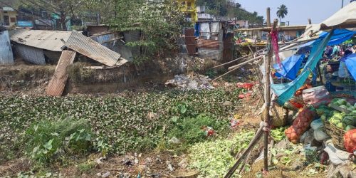 ହିଞ୍ଜିଳିରେ ମଶା ପ୍ରବଳ,କାବୁ କରିବାରେ ହିଞ୍ଜିଳି ପୌର ପରିଷଦ ବିଫଳ ।