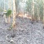 Read more about the article ତାରା ତାରିଣୀ ମନ୍ଦିର ତଳ ପାହାଡ଼ ଜଙ୍ଗଲ ରେ ନିଆଁ, ଆତଙ୍କିତ ସମସ୍ତେ ।