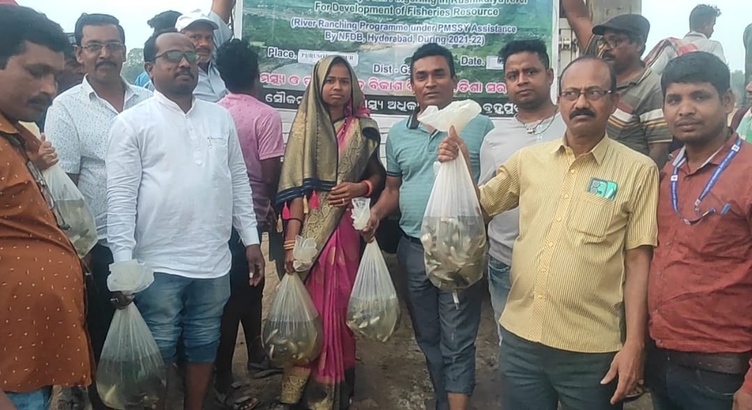 You are currently viewing ପୁରୁଷୋତ୍ତମପୁର ବ୍ଳକ ହାଣ୍ଡିଘର ଗ୍ରାମର ଋଷିକୁଲ୍ୟା ନଦୀରେ 4ଲକ୍ଷ ମାଛଯାଆଁଳ ଛାଡିଲେ ମଛ୍ୟ ଅଧିକାରୀ |