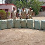 Read more about the article ପୃଥକ ସ୍ଥାନରେ ଚଢାଉ କରି ୩୦୧ କେଜିରୁ ଉର୍ଦ୍ଧ୍ବ ଗଞ୍ଜେଇ ଜବତ କଲା ପାଟପୁର ପୋଲିସ