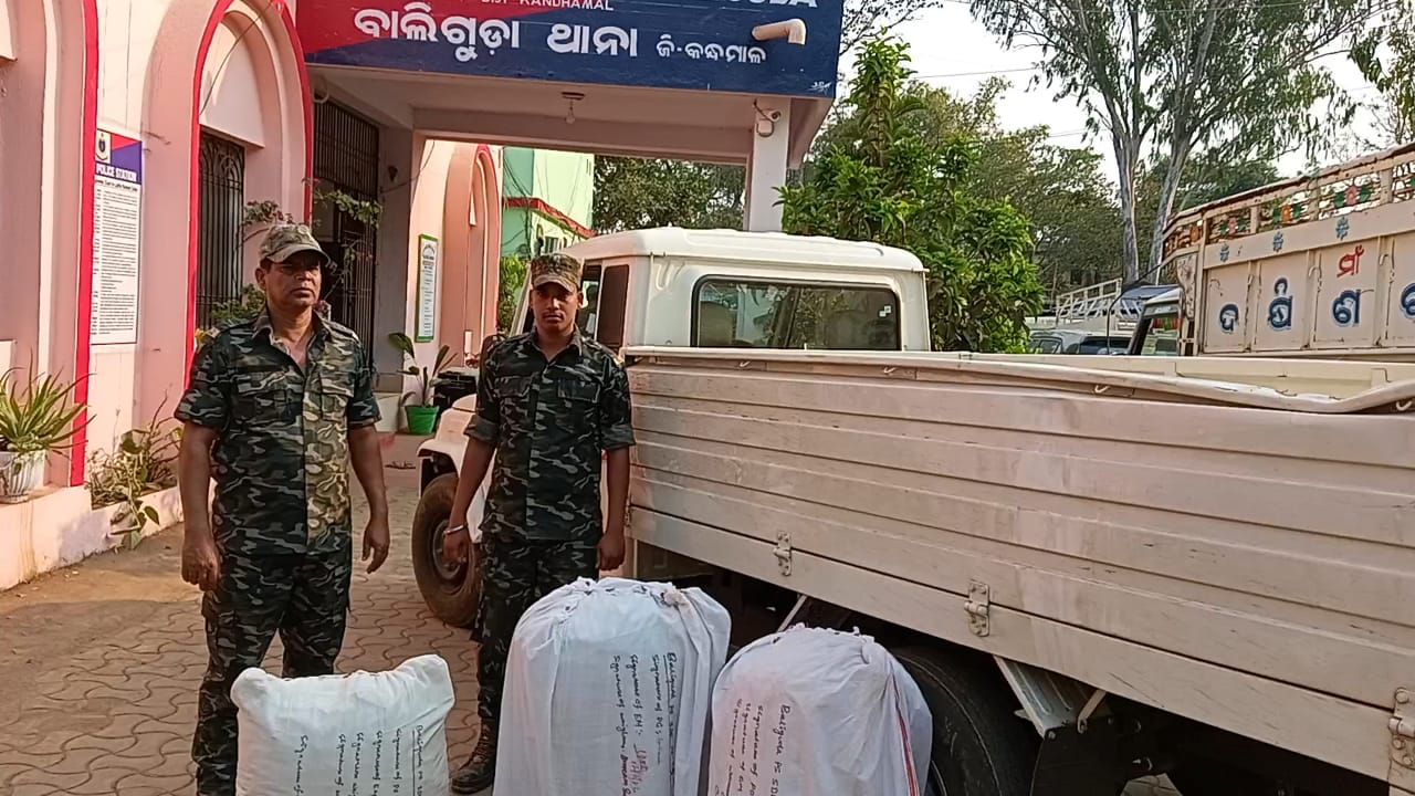 You are currently viewing ପିକ୍ ଅପ୍ ଭ୍ୟାନ୍ ସହ ଲକ୍ଷାଧିକ ଟଙ୍କାର ଗଞ୍ଜେଇ ଜବତ