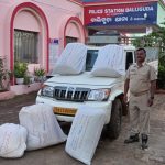 Read more about the article ଗଞ୍ଜେଇ ଭର୍ତ୍ତି ପିକ୍ ଅପ୍ ଭ୍ୟାନ୍ ଜବତ: ପୋଲିସକୁ ଚକମା ଦେଇ ଦୁଇ ମାଫିଆ ଫେରାର୍