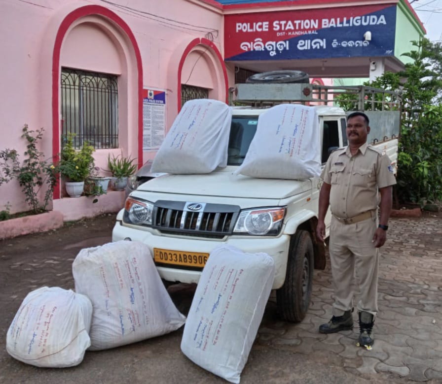 You are currently viewing ଗଞ୍ଜେଇ ଭର୍ତ୍ତି ପିକ୍ ଅପ୍ ଭ୍ୟାନ୍ ଜବତ: ପୋଲିସକୁ ଚକମା ଦେଇ ଦୁଇ ମାଫିଆ ଫେରାର୍