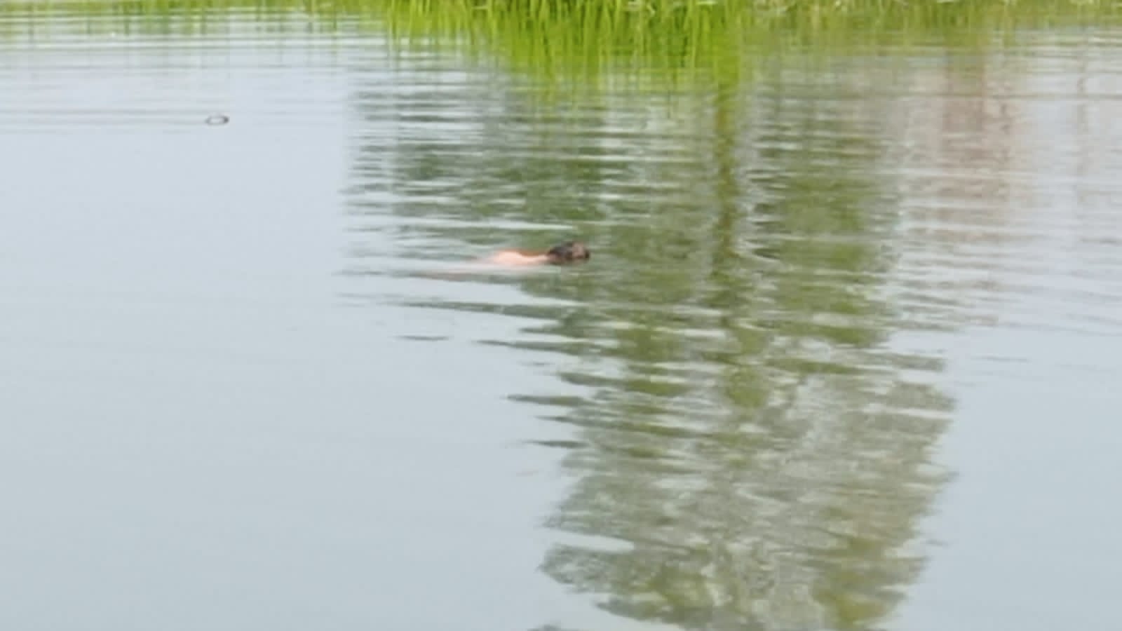 You are currently viewing ଘୋଡାହଡ ନଦୀ ରେ ବୁଡି ଶିକ୍ଷାବିଭାଗ କର୍ମଚାରୀ ମୃତ