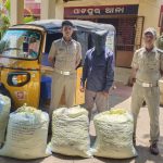 Read more about the article ୧୨୪ କିଲୋ ଗଞ୍ଜେଇ ଜବତ, ଅଟୋ ସହ ଜଣେ ଗିରଫ ।