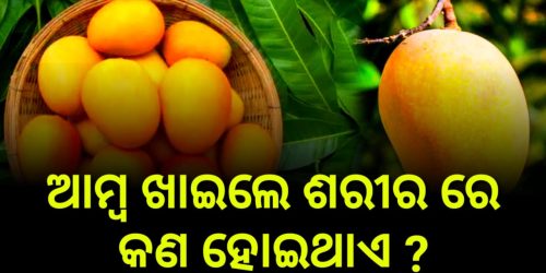 ଆମ୍ବ ଏକ ଋତୁ ଦିନିଆ ଫଳ ହୋଇ ମଧ୍ୟ ବେଶ ଉପକାରୀ