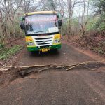 Read more about the article କନ୍ଧମାଳ ଜିଲ୍ଲା ରେ ପୁଣି ନିଜ ସ୍ଥିତି ଜାହିର କଲେ ମାଓବାଦୀ : ବେଲଘର ଥାନା ଅଞ୍ଚଳରେ ଗଛ ପକାଇ ମାଓ ପୋଷ୍ଟର ଛାଡିଲେ