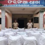 Read more about the article କୁଡ଼ିଆ ଘରୁ ବିପୁଳ ପରିମାଣରେ ଗଞ୍ଜେଇ ଜବତ, ୬ ଜଣ ମାଫିଆ ଫେରାର