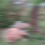 Read more about the article ବଜ୍ରପାତରେ ଚାଲିଗଲା ୫ ଗାଈର ଜୀବନ