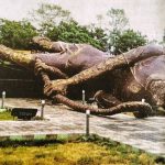 Read more about the article ୫ ମାସ ରେ ଗଳିପଡ଼ିଲା ହକି ସ୍ମାରକୀ