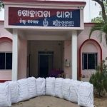 Read more about the article ଚାଲାଣ ପାଇଁ ପ୍ରସ୍ତୁତ ହେଉଥିବା ୨୫୦ କେଜି ଗଞ୍ଜେଇ ଜବତ: ଅଭିଯୁକ୍ତ ଫେରାର