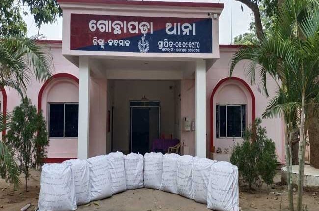 You are currently viewing ଚାଲାଣ ପାଇଁ ପ୍ରସ୍ତୁତ ହେଉଥିବା ୨୫୦ କେଜି ଗଞ୍ଜେଇ ଜବତ: ଅଭିଯୁକ୍ତ ଫେରାର