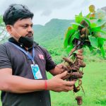 Read more about the article ପରିବେଶବିତ୍ ଦମନ ମହାନ୍ତି ।