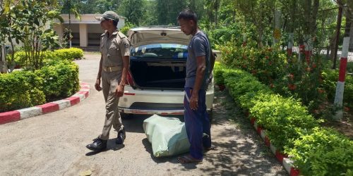 ବେଆଇନ ଚୋରା ଚାଲାଣ ବେଳେ ୮୫ କିଲୋରୁ ଉର୍ଦ୍ଧ୍ବ ଗଞ୍ଜେଇ ଜବତ : ଚାଳକ ଗିରଫ