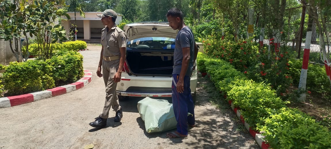 You are currently viewing ବେଆଇନ ଚୋରା ଚାଲାଣ ବେଳେ ୮୫ କିଲୋରୁ ଉର୍ଦ୍ଧ୍ବ ଗଞ୍ଜେଇ ଜବତ : ଚାଳକ ଗିରଫ