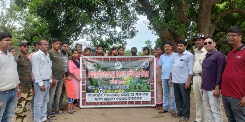 ବେଲଗୁଣ୍ଠା ସମ୍ବାଦ ସାହିତ୍ୟ ଘର ତରଫରୁ ବନମହୋତ୍ସବ ; 85 ଚାରା ରୋପଣ