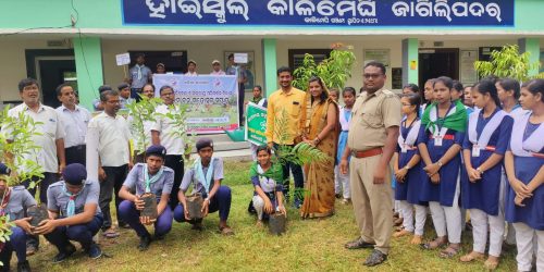 ୭୪ ତମ ବନ ମହୋତ୍ସବ ସପ୍ତାହ ଅବସରରେ କୋଦଳା ବନବିଭାଗ ପକ୍ଷରୁ କାଳିମେଘୀ ଜାଗିଲିପଦର ହାଇସ୍କୁଲରେ ବୃକ୍ଷ ରୋପଣ