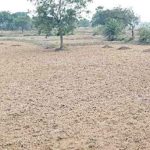 Read more about the article ୭୫% ଆରମ୍ଭ ହୋଇନି କୃଷି କାମ