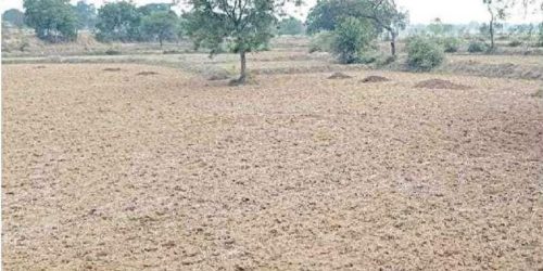 ୭୫% ଆରମ୍ଭ ହୋଇନି କୃଷି କାମ