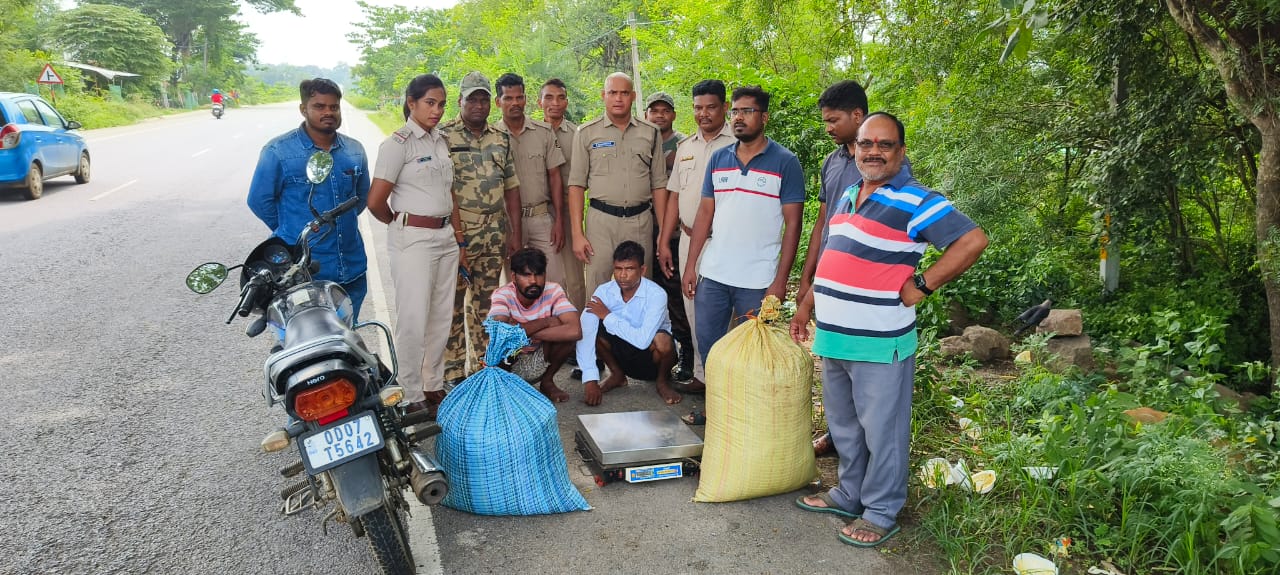 You are currently viewing ବାଇକରେ ଗଞ୍ଜେଇ ଚୋରାଚାଲାଣ ବେଳେ ୨ ଯୁବକଙ୍କୁ ଧରିଲା ପୋଲିସ ; ୪୩ କେଜିରୁ ଉର୍ଦ୍ଧ୍ବ ଗଞ୍ଜେଇ ଜବତ