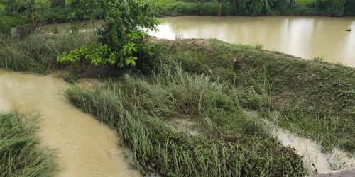 ନଦୀ ହୁଡାରେ ପୋଖରୀ ଖୋଳା ନା ରେ ଲକ୍ଷ ଲକ୍ଷ ଟଙ୍କା ଚଳୁ!