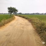 Read more about the article ଅବହେଳିତ ପଥରପୁଞ୍ଜି ଗ୍ରାମକୁ ପକ୍କା ସଡ଼କ କେବେ ? ପିଢ଼ି ପରେ ପିଢ଼ି ଆସିଗଲେଣି ହେଲେ ଗ୍ରାମକୁ ଆଜି ପର୍ଯ୍ୟନ୍ତ ରାସ୍ତା ନାହିଁ