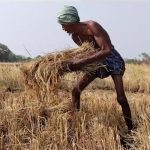 Read more about the article ଚାଷୀଙ୍କୁ ବାତ୍ୟା ଭୟ , ଧାନ ଫସଲ ସୁରକ୍ଷା ନେଇ ଚିନ୍ତା ବଢୁଛି