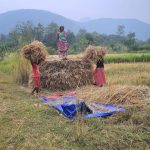 Read more about the article କୃଷି ବିଭାଗ ର ସଚେତନତା ପରେ ଚାଷୀ ତର ତର