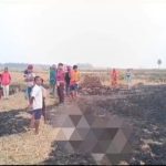 Read more about the article ଛେଳି ଭଅଁରା ରେ ନିଆଁ ଲଗାଇ ଦେଲେ ଦୁର୍ବୁତ୍ତ,50 ଟି ଶିଶୁ ଛେଳି ଜୀବନ୍ତ ଦଗ୍ଧ |