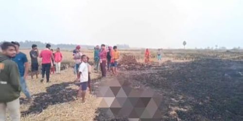 ଛେଳି ଭଅଁରା ରେ ନିଆଁ ଲଗାଇ ଦେଲେ ଦୁର୍ବୁତ୍ତ,50 ଟି ଶିଶୁ ଛେଳି ଜୀବନ୍ତ ଦଗ୍ଧ |