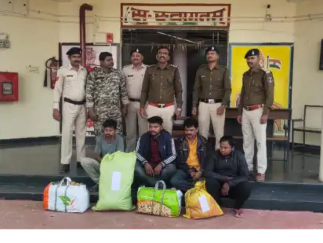 You are currently viewing କଳାବାଲି ବୋଝେଇ ଟ୍ରକ୍‌ରେ ଗଞ୍ଜେଇ ଚାଲାଣଟ୍ରାନ୍ସପୋର୍ଟସ ସଂସ୍ଥା ଲିଙ୍କ୍ ସନ୍ଦେହ