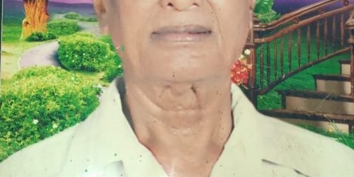 ବରିଷ୍ଠ କମ୍ୟୁନିଷ୍ଟ ନେତା ସାଥି ହରିଜେନାଙ୍କ ବିୟୋଗ