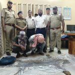 Read more about the article तेंदुए के खाल के साथ दो तस्कर गिरफ्तार, अंतरराष्ट्रीय बाजार में लाखों रुपये कीमत।