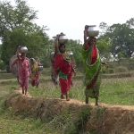 Read more about the article ମାଘ ରେ ବୈଶାଖ ର ତାତି, ଗ୍ରୀଷ୍ମ ଆରମ୍ଭରୁ ପାନୀୟ ଜଳ ସଙ୍କଟ, 115 କୋଟି ର ମେଗା ପାନୀୟ ଜଳ ପ୍ରକଳ୍ପ କାର୍ଯ୍ୟକ୍ଷମ ହେବ କେବେ?