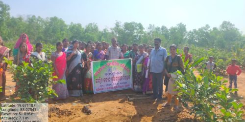 ଉଦ୍ୟାନ କୃଷକ ମାନଙ୍କ ଆନ୍ତଃ ରାଜ୍ୟ ଶିକ୍ଷାଭିତ୍ତିକ ପରିଭ୍ରମଣ |