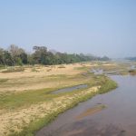 Read more about the article ଶୁଖିଲା ପଡିଛି ଋଷିକୁଲ୍ୟାସେଚ,ପାନୀୟ ଜଳ,ଧାର୍ମିକ କାର୍ଯ୍ୟ ବାଧାପ୍ରାପ୍ତ