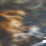 Read more about the article କାନକା ଗ୍ରାମରେ ଘରପୋଡି, ଜଳିଗଲା ଦୁଇ ଭାଇ ଙ୍କ ଚାରି ବଖରା ଘର